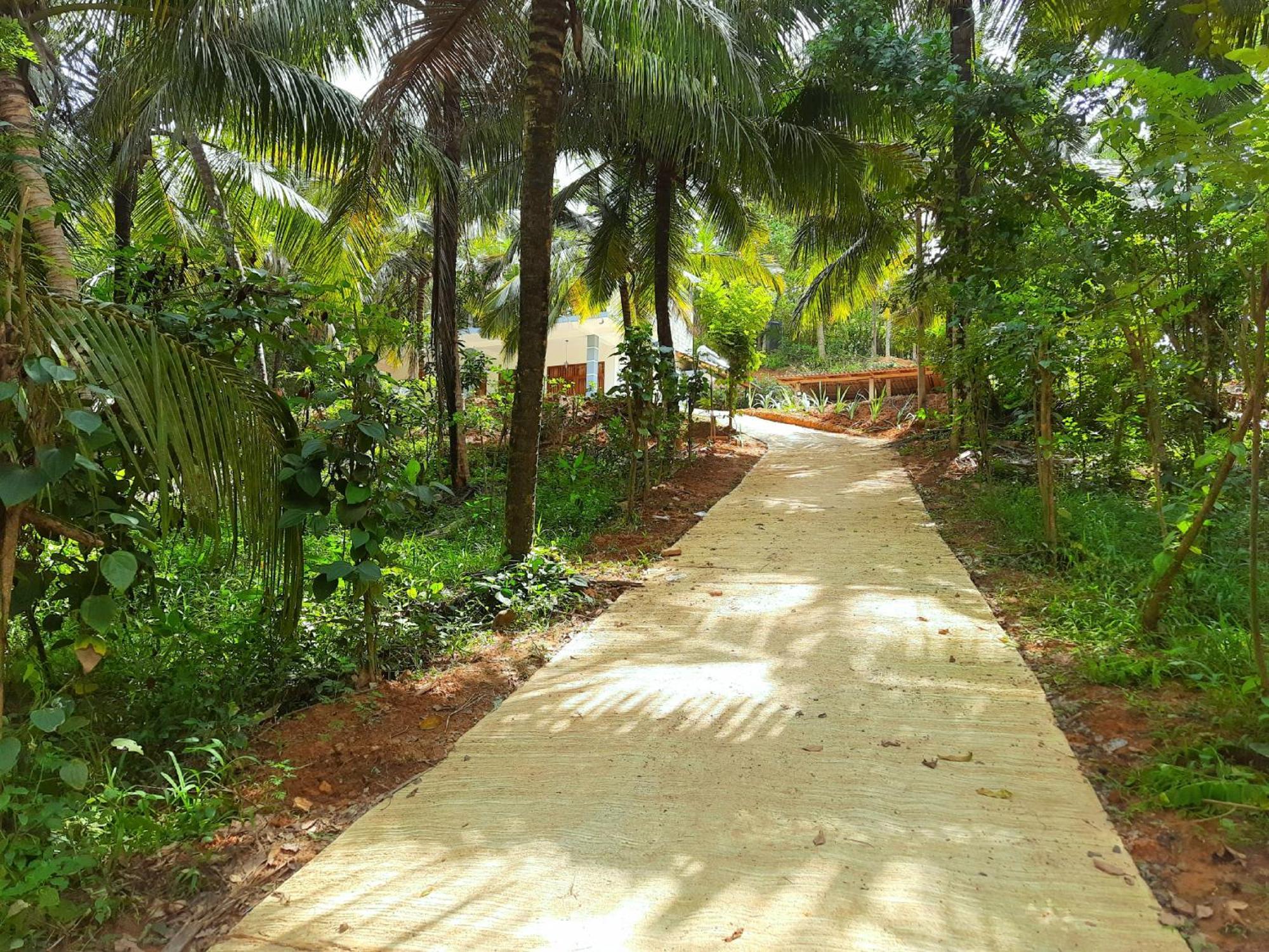 Coco Mount Residence - Hiriketiya Dikwella Exterior foto